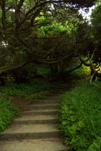 Sometimes our journey seems to be all uphill, arduous and never-ending. Writing and editing can be the same. (c2013, KB)