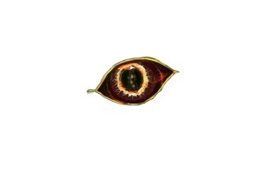 dragon eye example