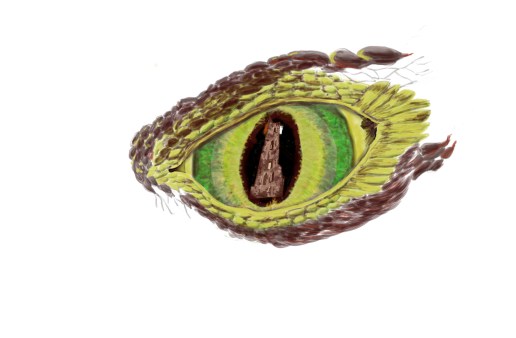 dragon_eye_greengold.sumo5