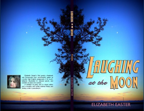 poetry anthology cover^salt flats and moon